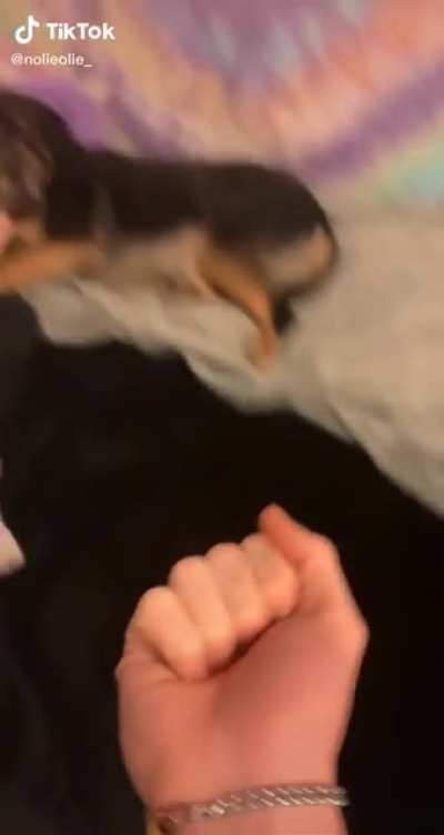 "How dare you"