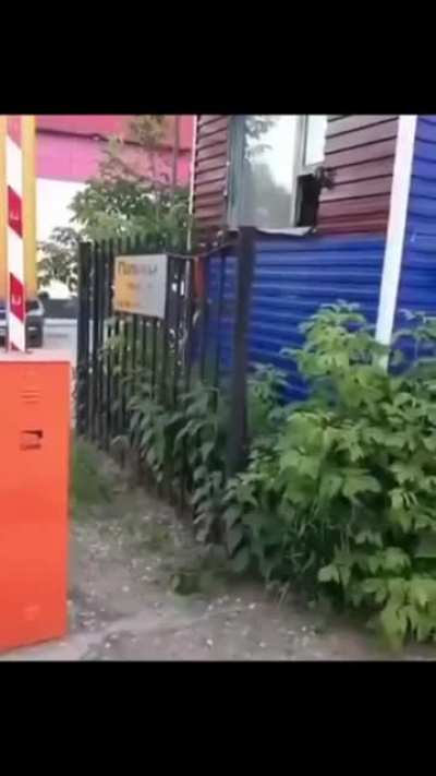Yeah, right...