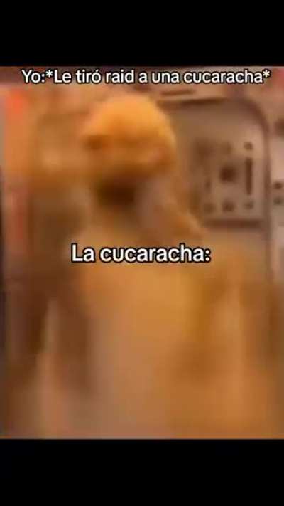 Cucaracha 🪳