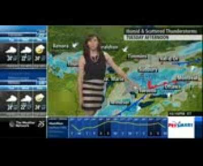 Nicole Karkic 06/23/2014
