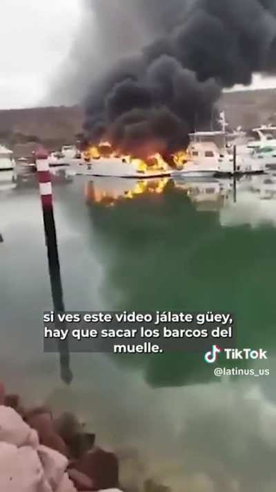 Contesta Abelardo!