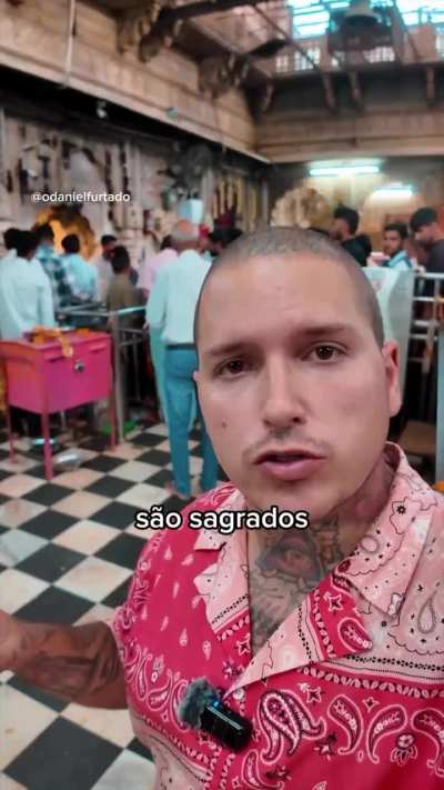 Ora, encontrei o lugar perfeito para levares tua sogra para umas f&eacute;rias relaxantes, meu caro gajo. 