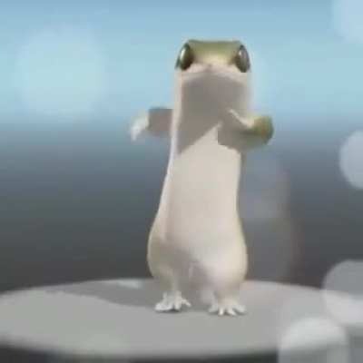 Ovo