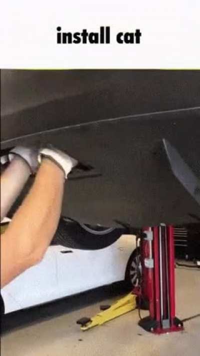 +20 Horsepower