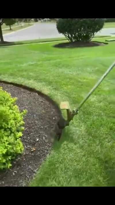 Shaping up the edges of the lawn grass