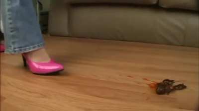 Jenny from "Crush Cuties" in pink