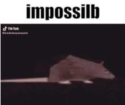 this is a 3d spinning rat with the caption "impossilb"