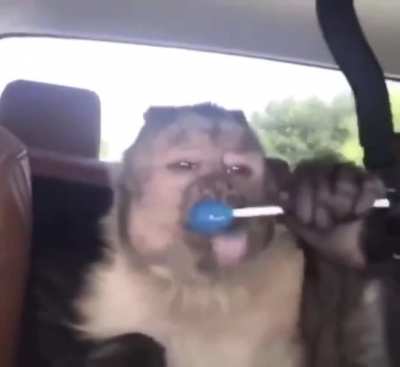 Mono paleta