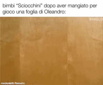 Dai, ammettetelo, tutti hanno mangiato almeno una foglia di una pianta da piccoli