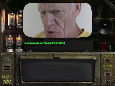 I think I downloaded the wrong fallout version