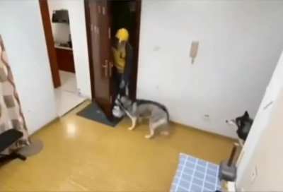 Huskey