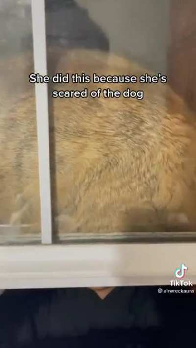 How??