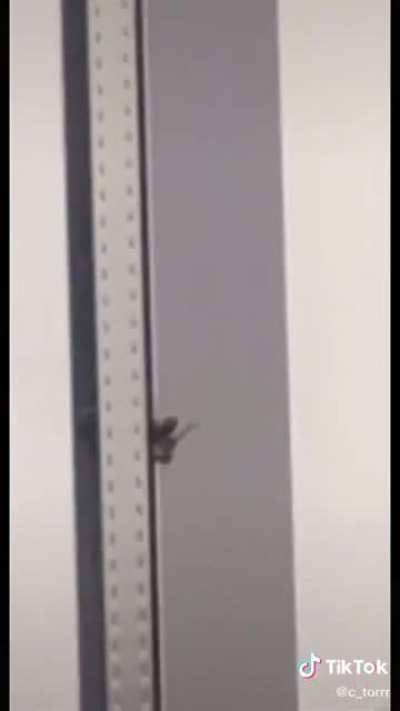 Vanquisher of Arthropods