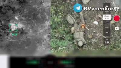 Russian drone striking ukrainian infantry in kursk
