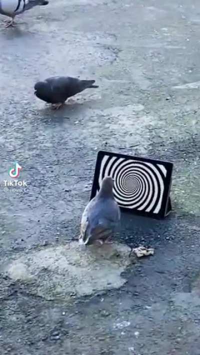 Updating software