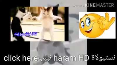 Downlaod HD