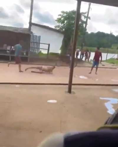 la patada mortal