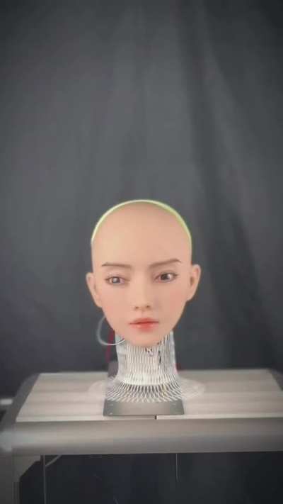 Lifelike Bionic Robot Head