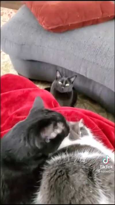 When your girlfriend catches you flirting with another girl
