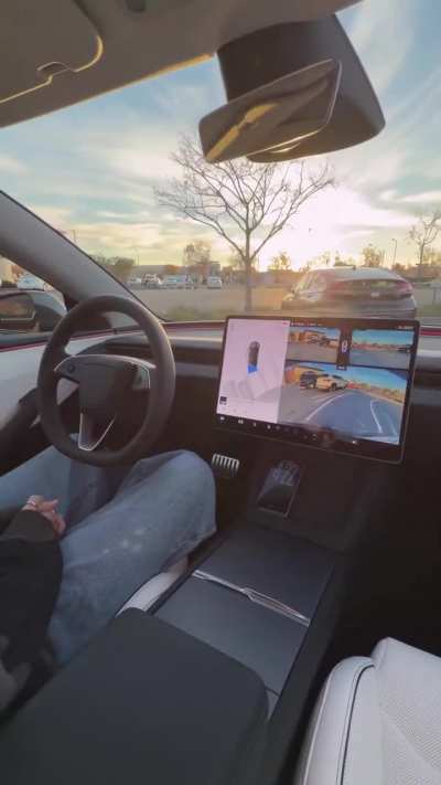 My toddler can park there too. I want to see tight cases any such video of Tesla?