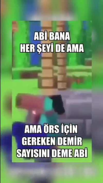 Steve mizaj