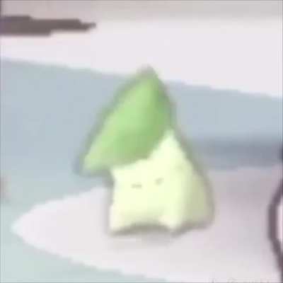 Kiki nati y no me se la letra xd