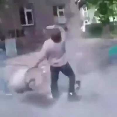 Slavs summarised