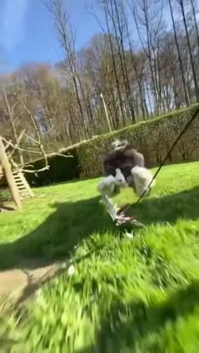 Съемка видео