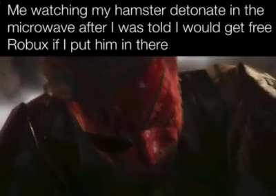 Rip nibbles