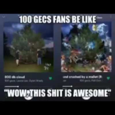 &ldquo;100 gecs get too much hate fr&rdquo;