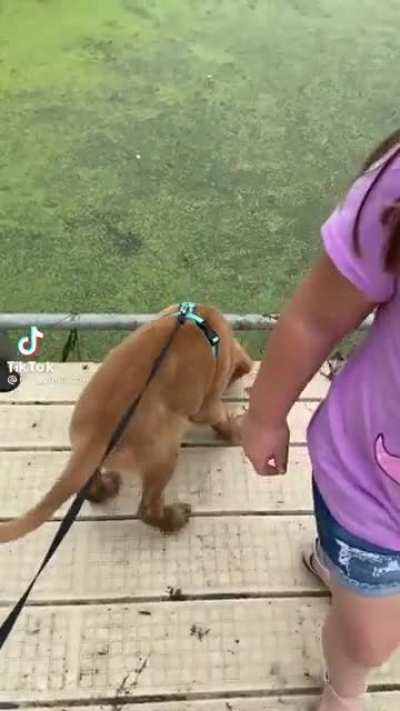 CUH-