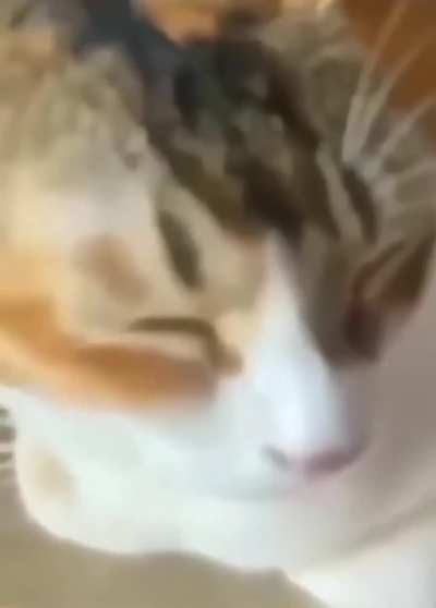 Idk what to title this