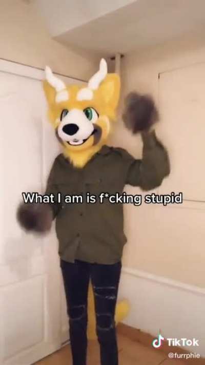 Furry humor