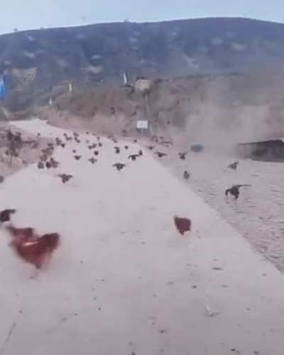 Russian front line in Kherson