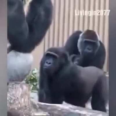 😐