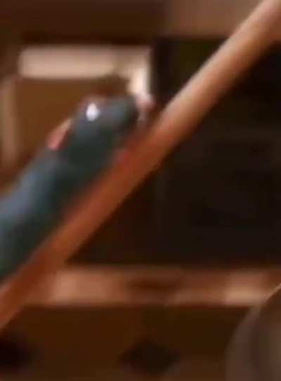 Rat&oacute;n culiao sali&oacute; volando