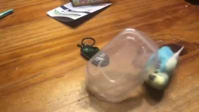 Not my video. Turn sound on