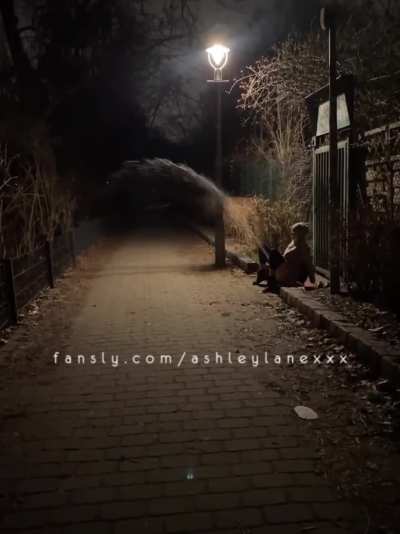 Streamy Stream (Ashley Lane)