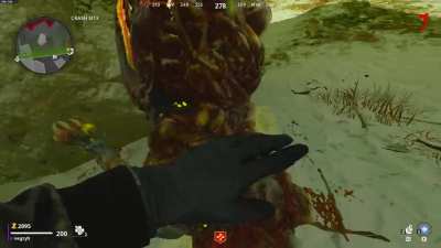 Interesting bug with dogs