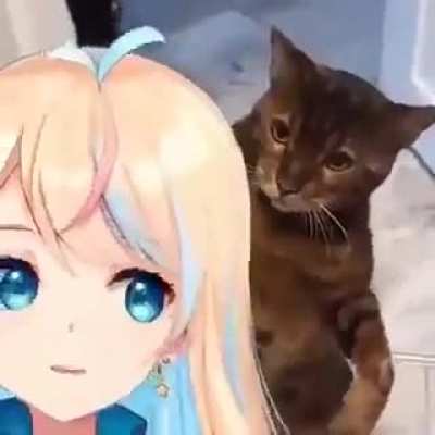 No mercy