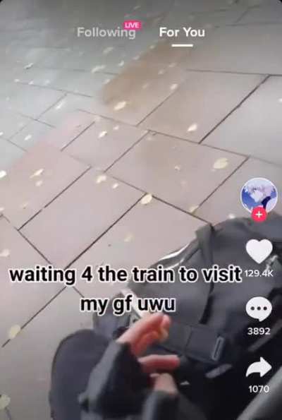 Tik Tok alt girl claims a random person called her a cow on the subway