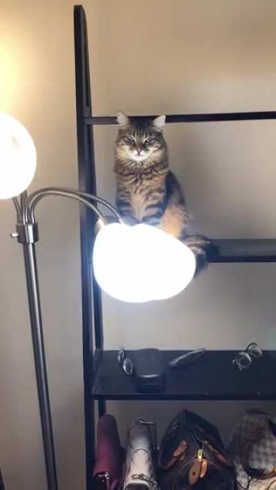 I think she&rsquo;s planning my demise...