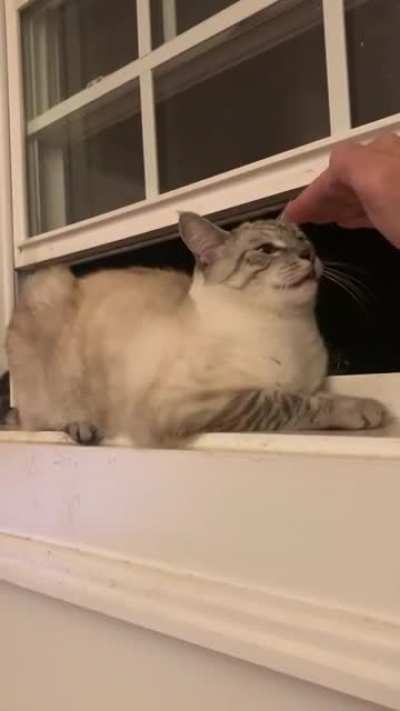 don&rsquo;t touch (just a little yell)