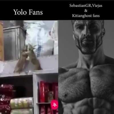 True, el que diga lo contrario se puede salir del reddit