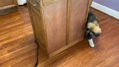 This old video of my Maggie just popped into my head so I figured I&rsquo;d share it with y&rsquo;all.