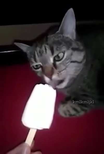 Brainfreeze!