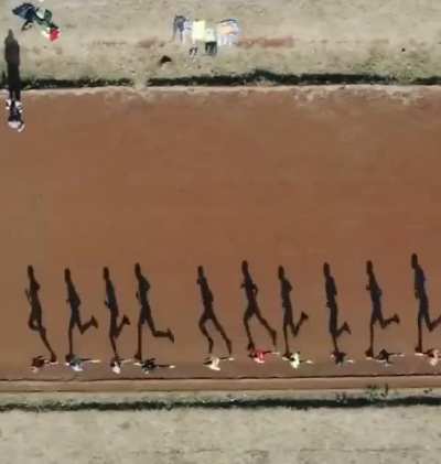 Sunlight hitting these runners are the perfect Angle