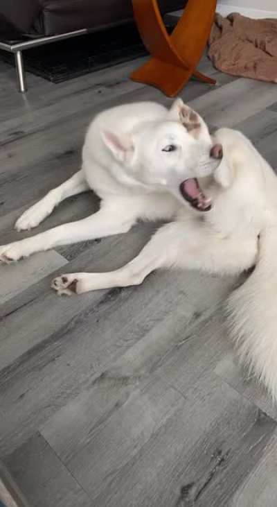 My goober