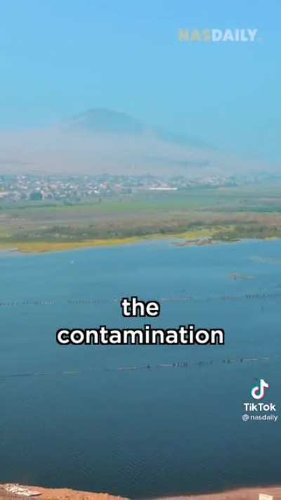 This legend cleaned an entire lake using his organic water cleaning solution