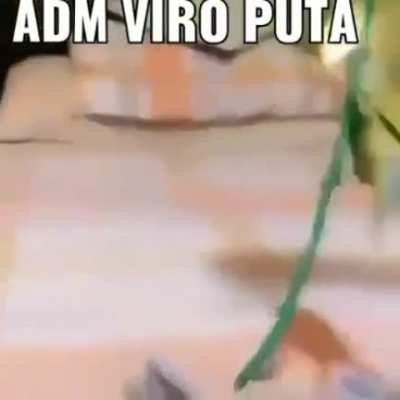 Titulo esta a mimir
